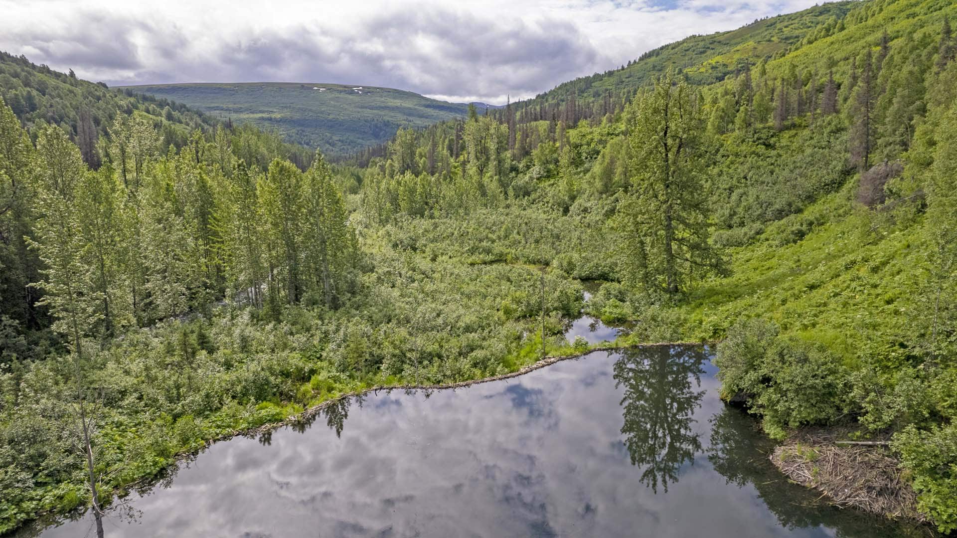 beaver pond view alaska mcwilliams gold claim
