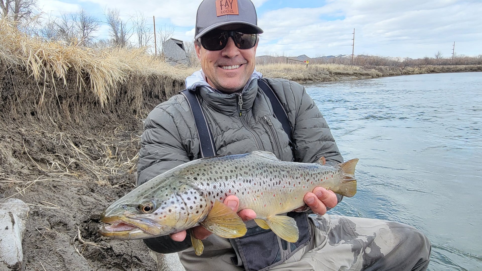 brown trout montana madison bend
