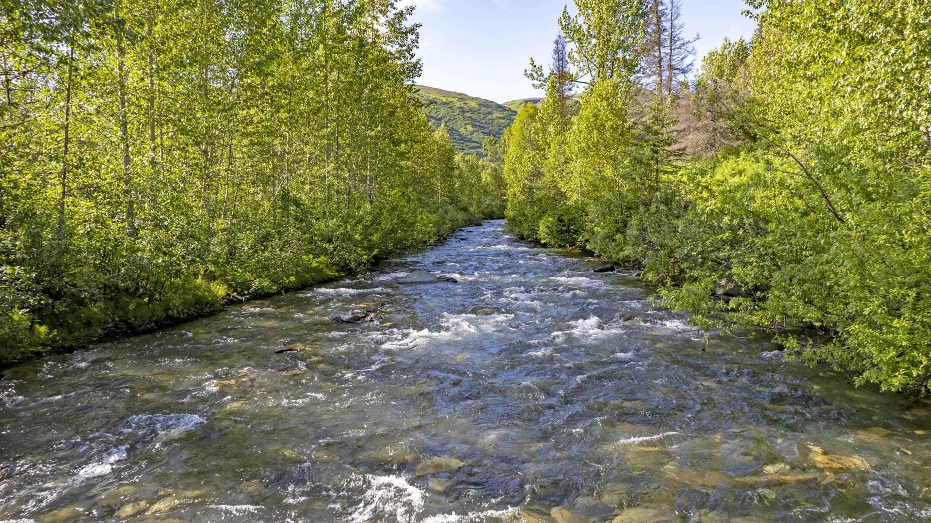 downstream river alaska mcwilliams gold claim