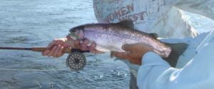 fly fishing property for sale montana madison bend ranch