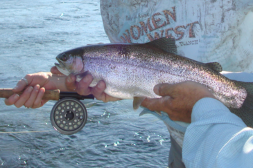 fly fishing property for sale montana madison bend ranch