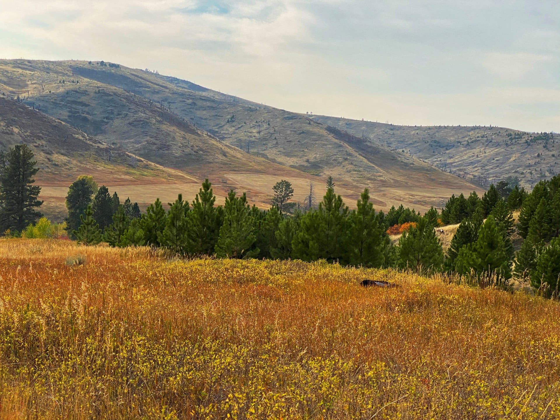 land for sale montana four creeks sporting ranch