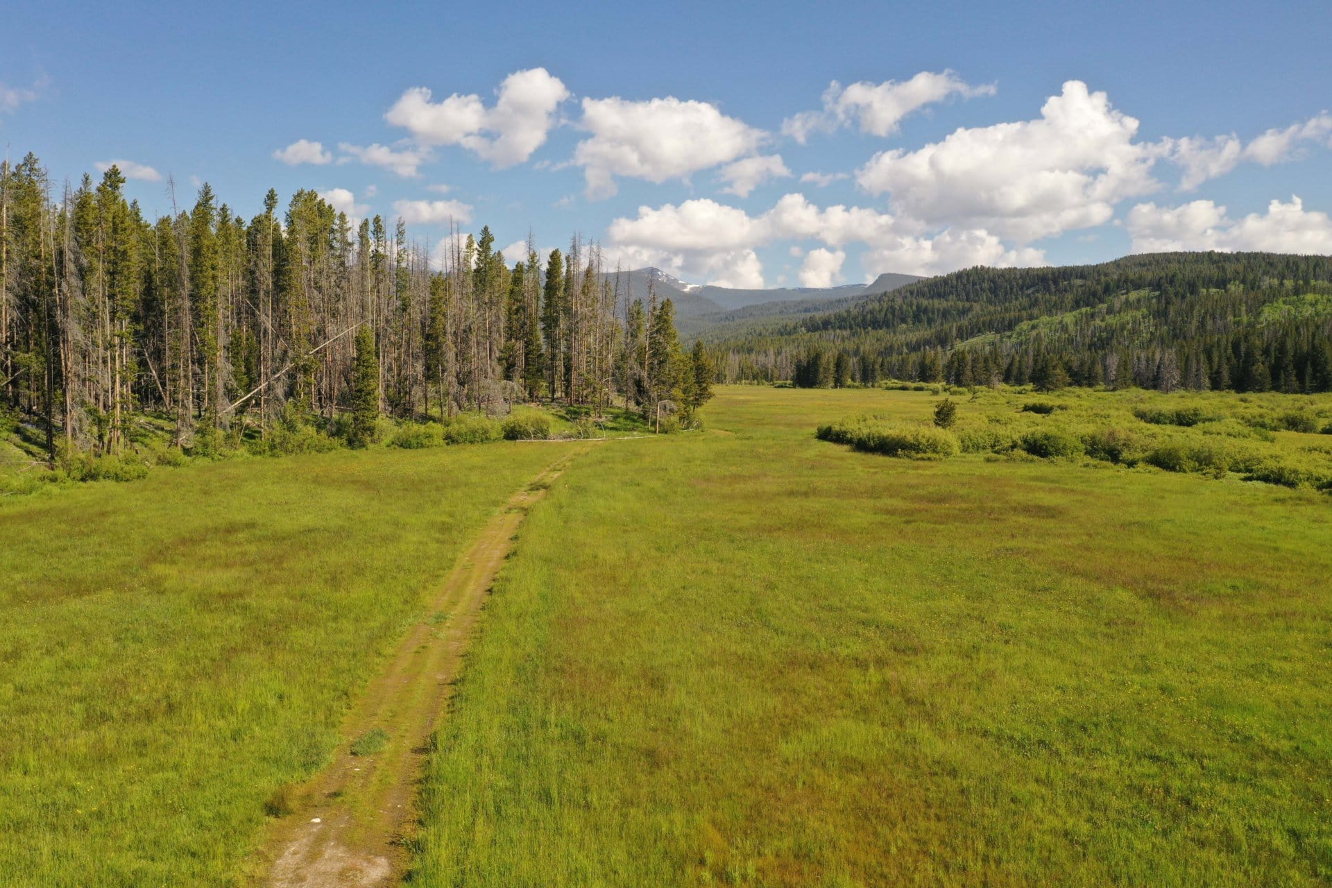 meadow-trail-montana-sundance-ranch-on-la-marche-creek