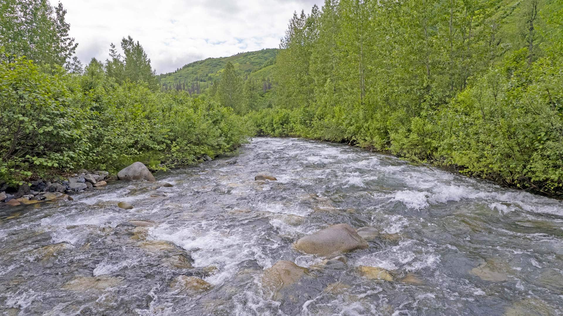 raging river alaska mcwilliams gold claim