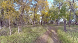 sporting pursuits land for sale montana madison bend ranch