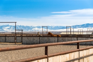 equestrian property montana beaverhead valley's 2w ranch