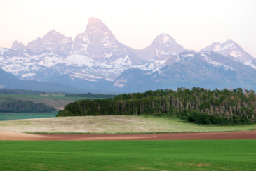 idaho farms for sale teton shadows