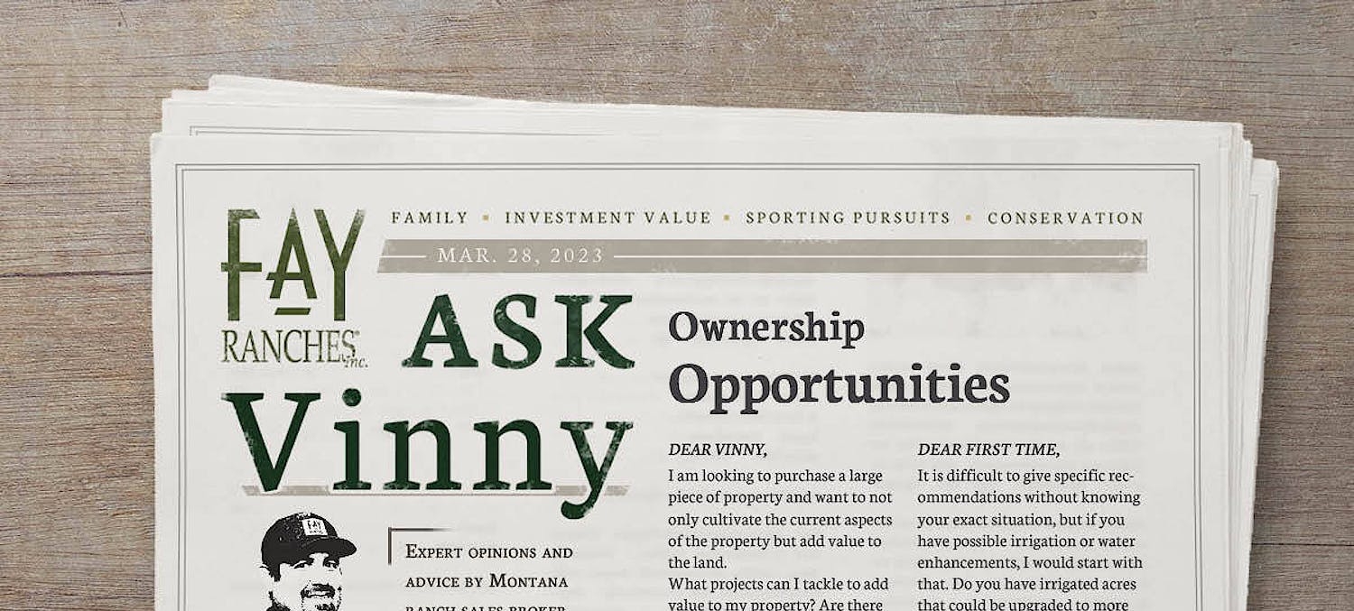 Ownership opportunities featured in Ask Vinny article