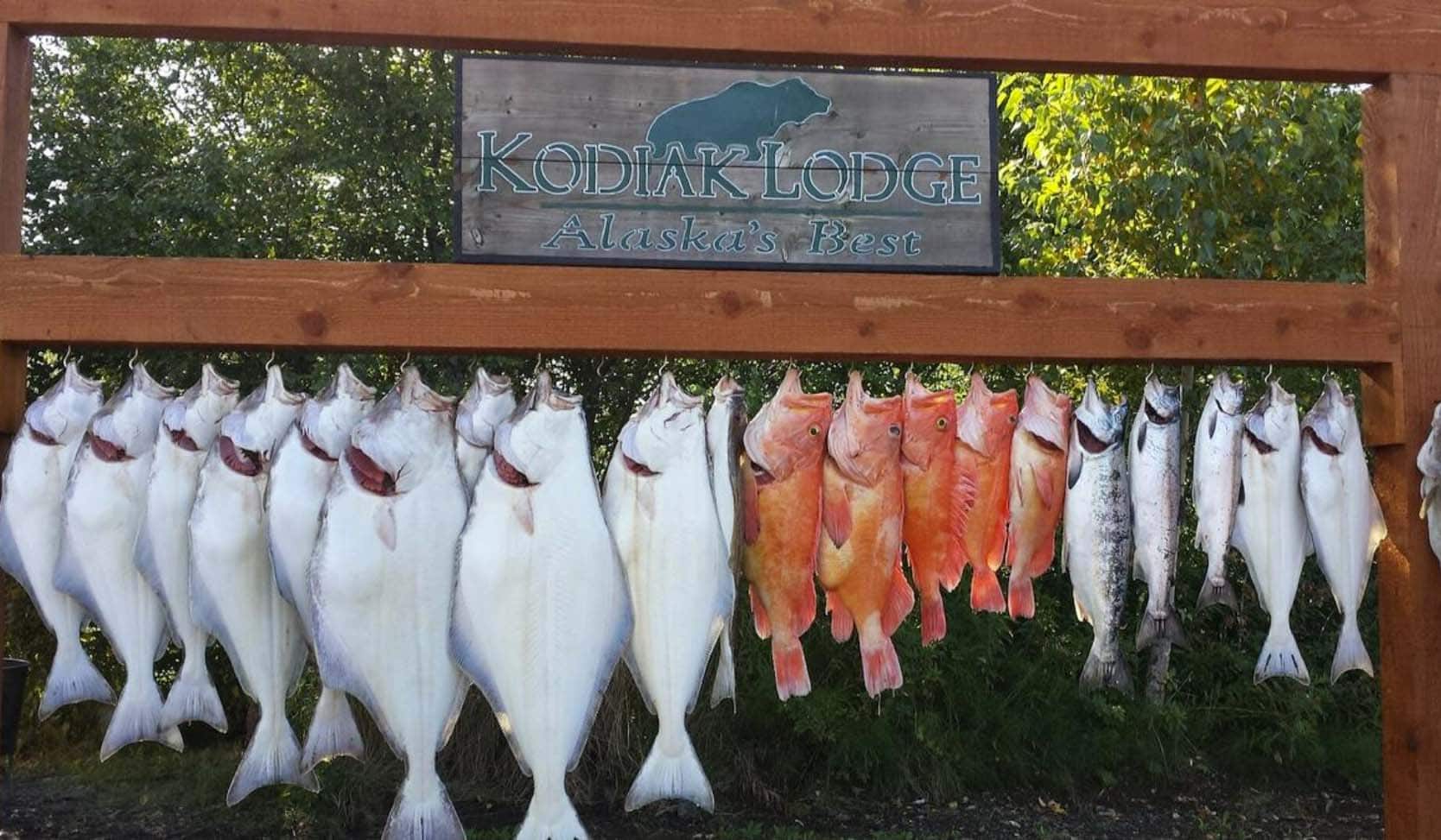 string of fish alaska kodiak lodge