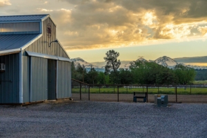 top 10 things to consider when purchasing a horse property