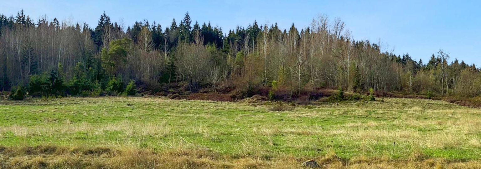 Bell Hill Sequim Washington Fay Ranches