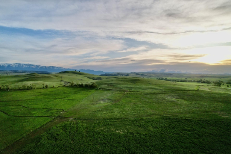 Beartooth Overlook | Fishtail Montana | Fay Ranches