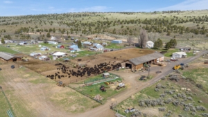 cattle operation oregon giorgi ranch