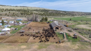 cattle ranch for sale oregon giorgi ranch