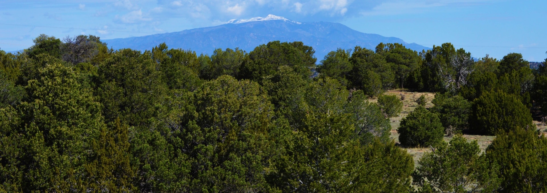 colorado ranch for sale wild mustang ranch