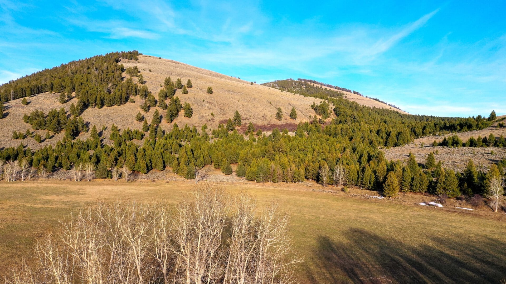 easterly views montana eder meadows ranch
