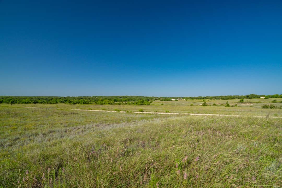 grassland texas bridgeport ranch