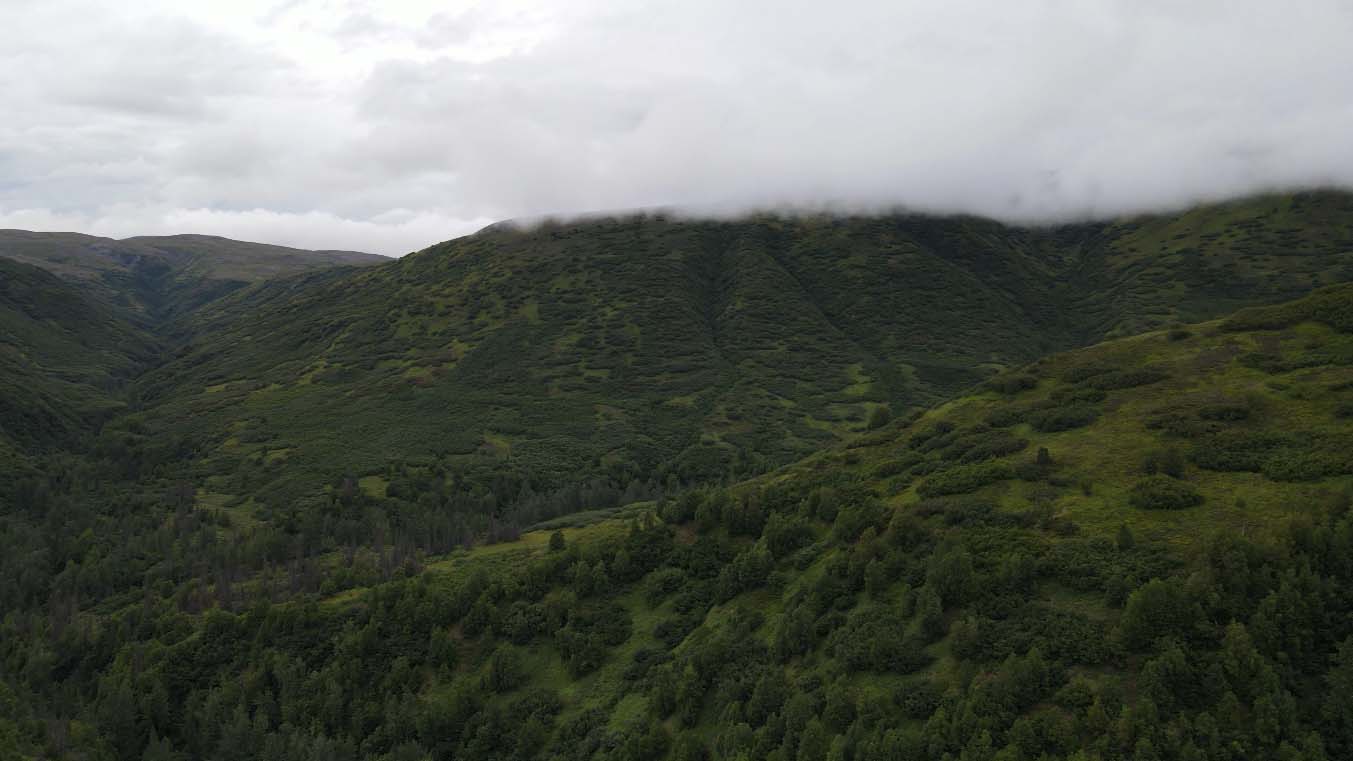 green vista alaska mcwilliams gold claim