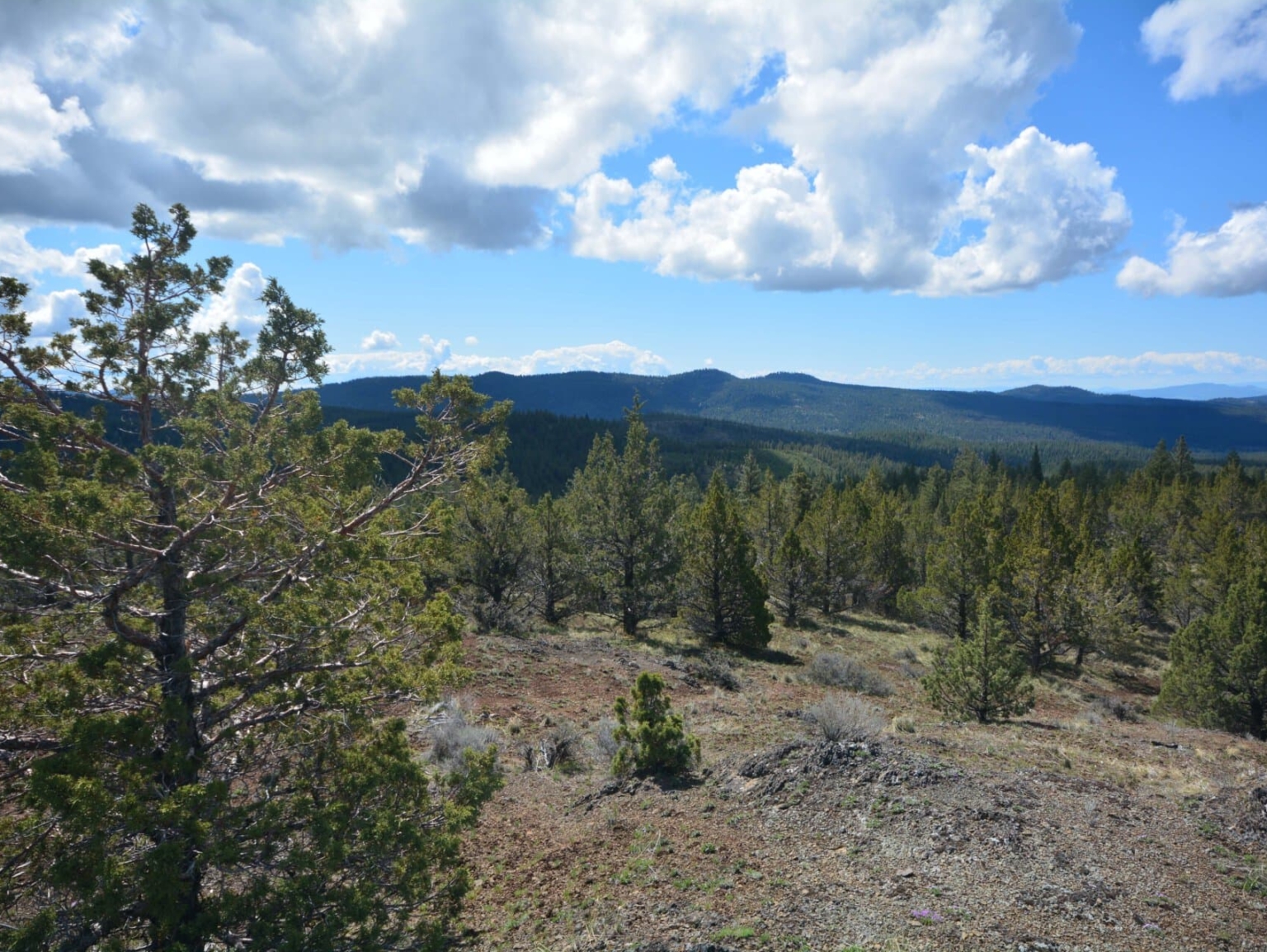 West Hensley Butte Madras Oregon Fay Ranches