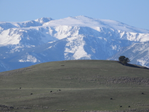 hill and ridge montana beartooth overlook