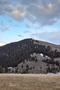 hillside state land montana eder meadows ranch