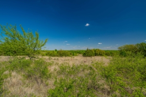 hunting land for sale texas bridgeport ranch