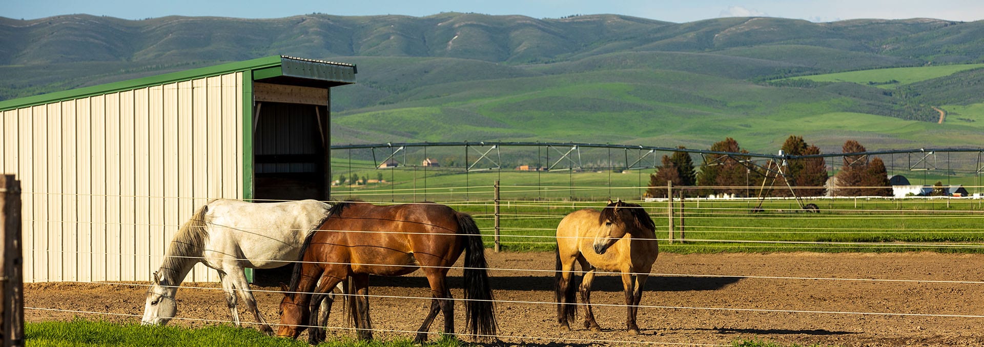 idaho equestrian property for sale knox farm equine center