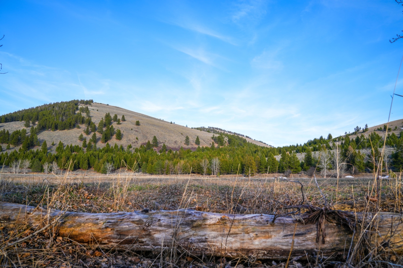 Eder Meadows Helmville Montana Fay Ranches