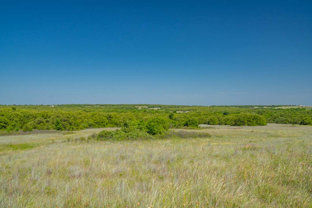 land texas bridgeport ranch