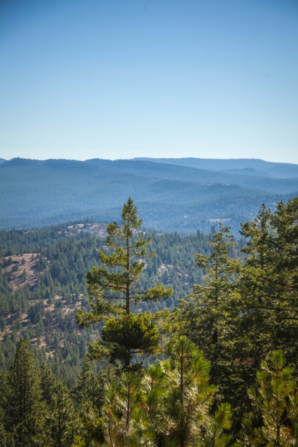 West Hensley Butte | Madras Oregon | Fay Ranches