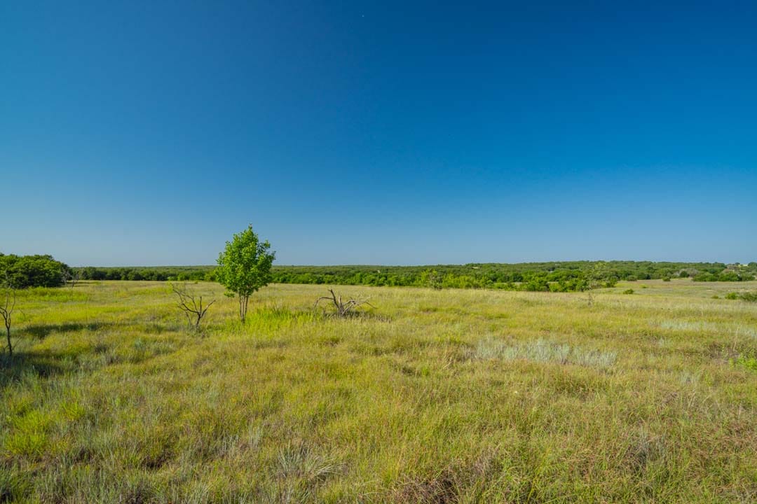 lone bush texas bridgeport ranch