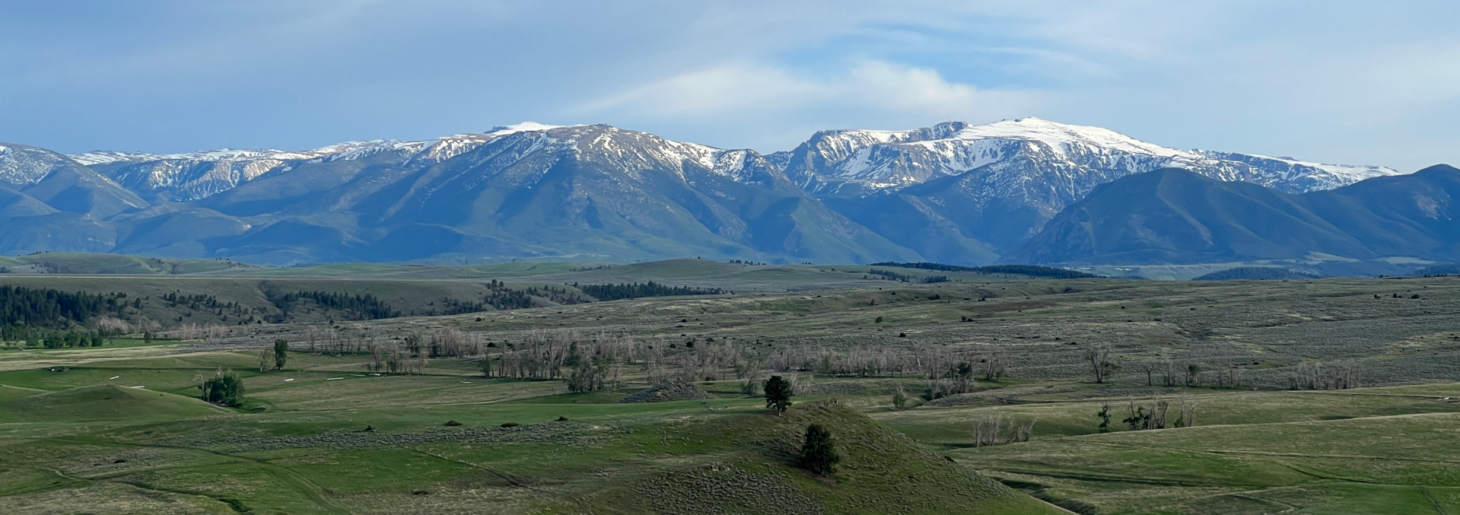 Beartooth Overlook Fishtail Montana Fay Ranches