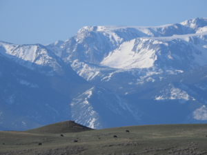 mountain view montana beartooth overlook