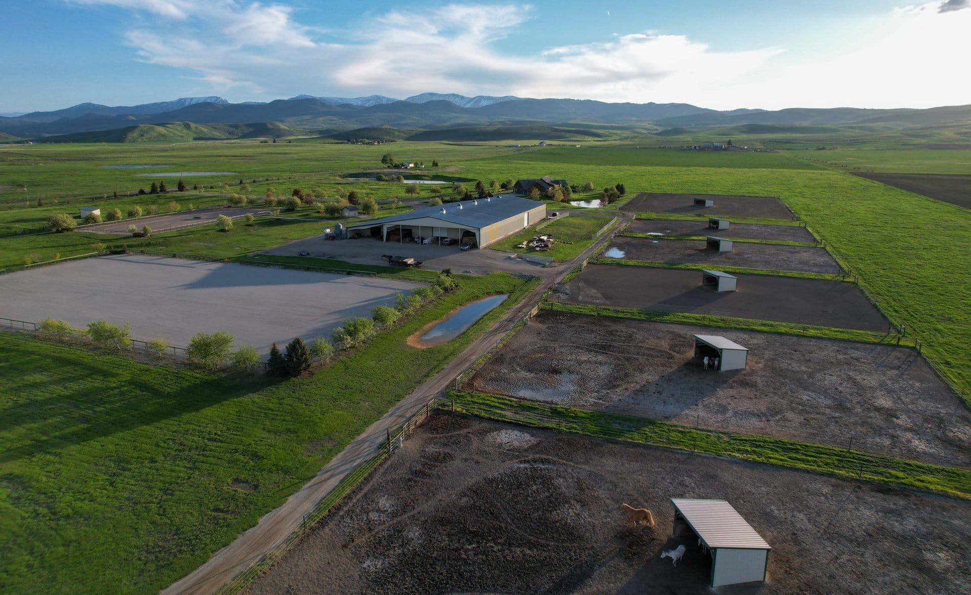 paddox Idaho Knox farm equine center