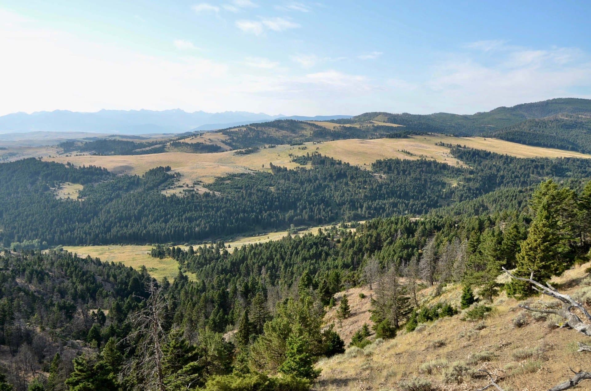 panoramic views montana the reserve at willow creek ranch 3