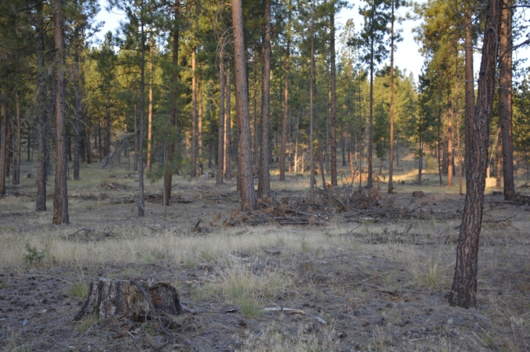 Kuman Creek Hideaway Prineville Oregon Fay Ranches