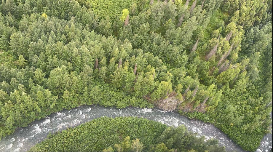 river alaska mcwilliams gold claim