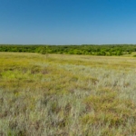 texas ranch for sale bridgeport ranch