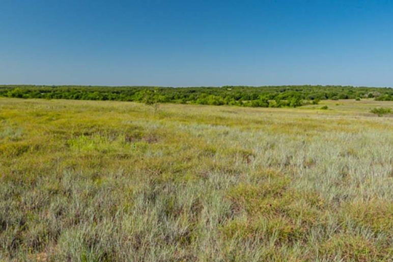 Ranch Properties For Sale | Land Investments | Fay Ranches