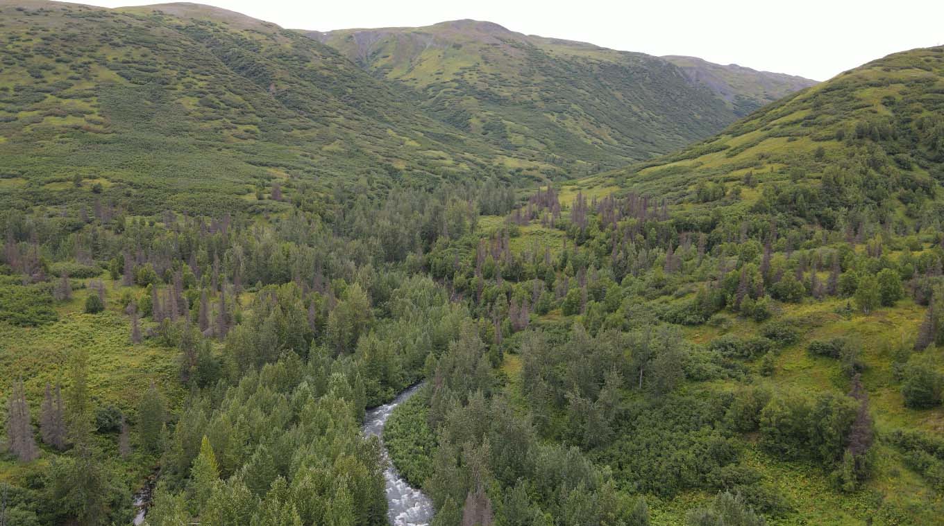 the valley alaska mcwilliams gold claim