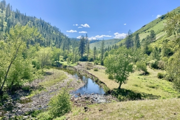 timber land for sale idaho scotlyn ranch