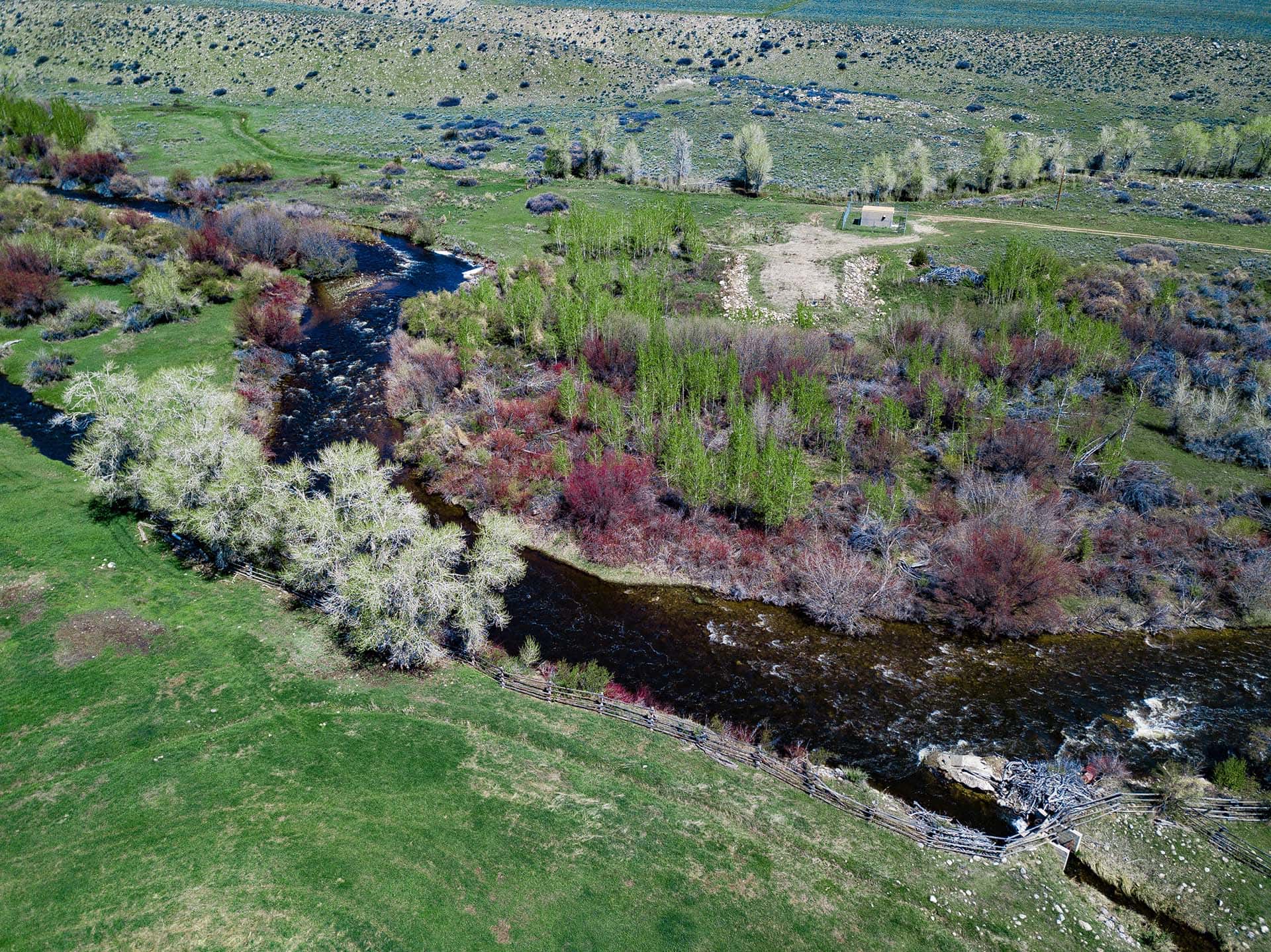 trout wyoming popo agie river