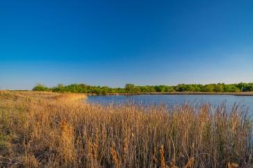 waterfowl hunting land for sale texas bridgeport ranch