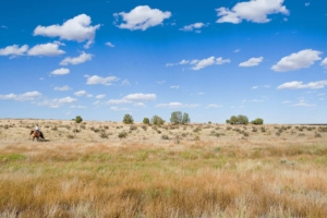 5-things-all-landowners-should-know-about-renewable-energy-opportunities-featured