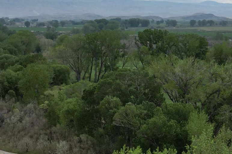 Wyoming Ranch Land Properties For Sale Fay Ranches