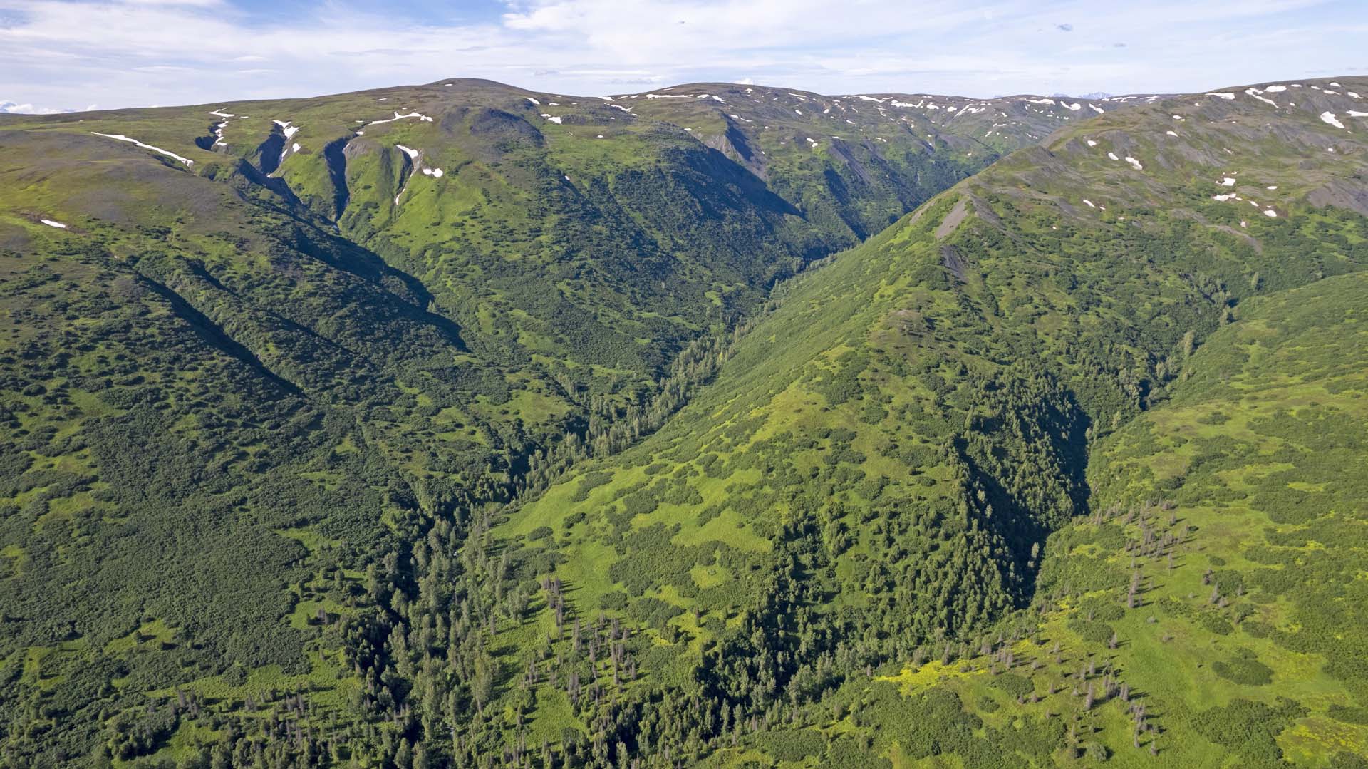 aerial high hillside view alaska mcwilliams gold claim
