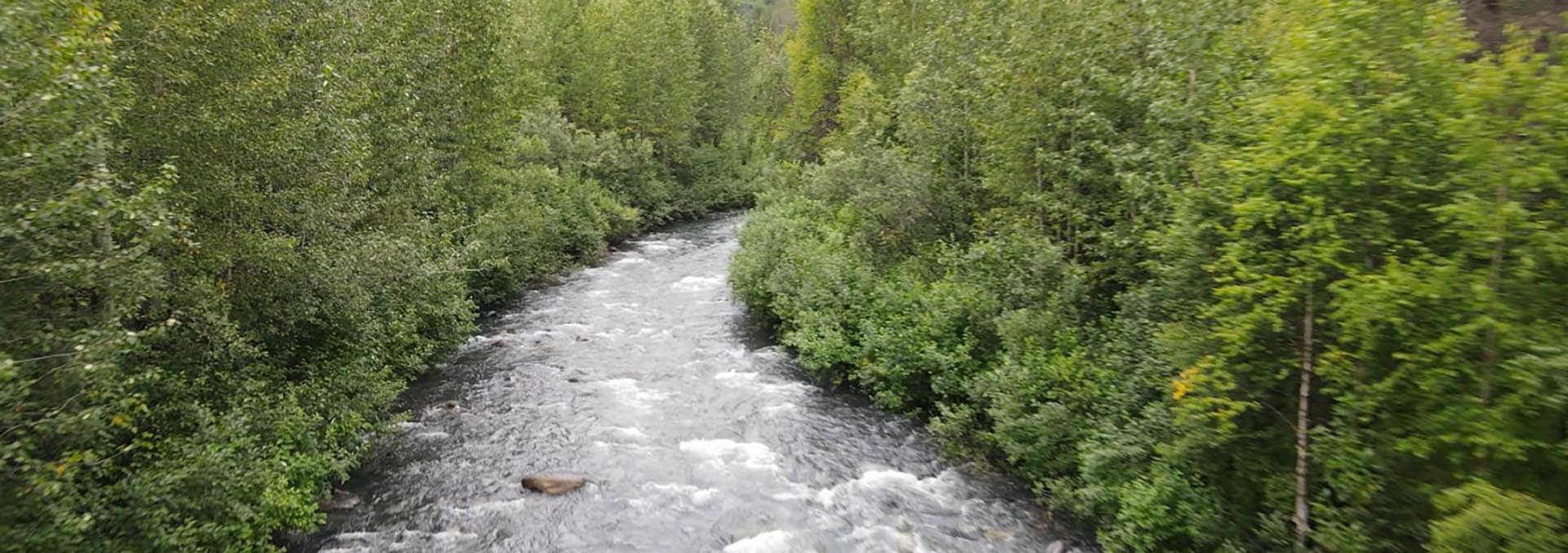 alaska land for sale mcwilliams gold claim