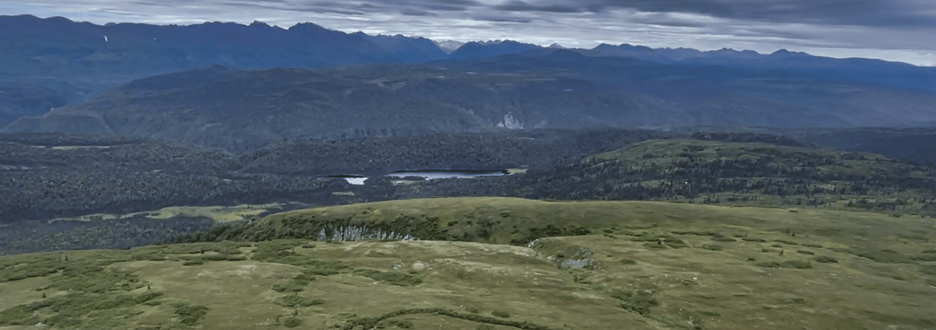 alaska property for sale mcwilliams gold claim