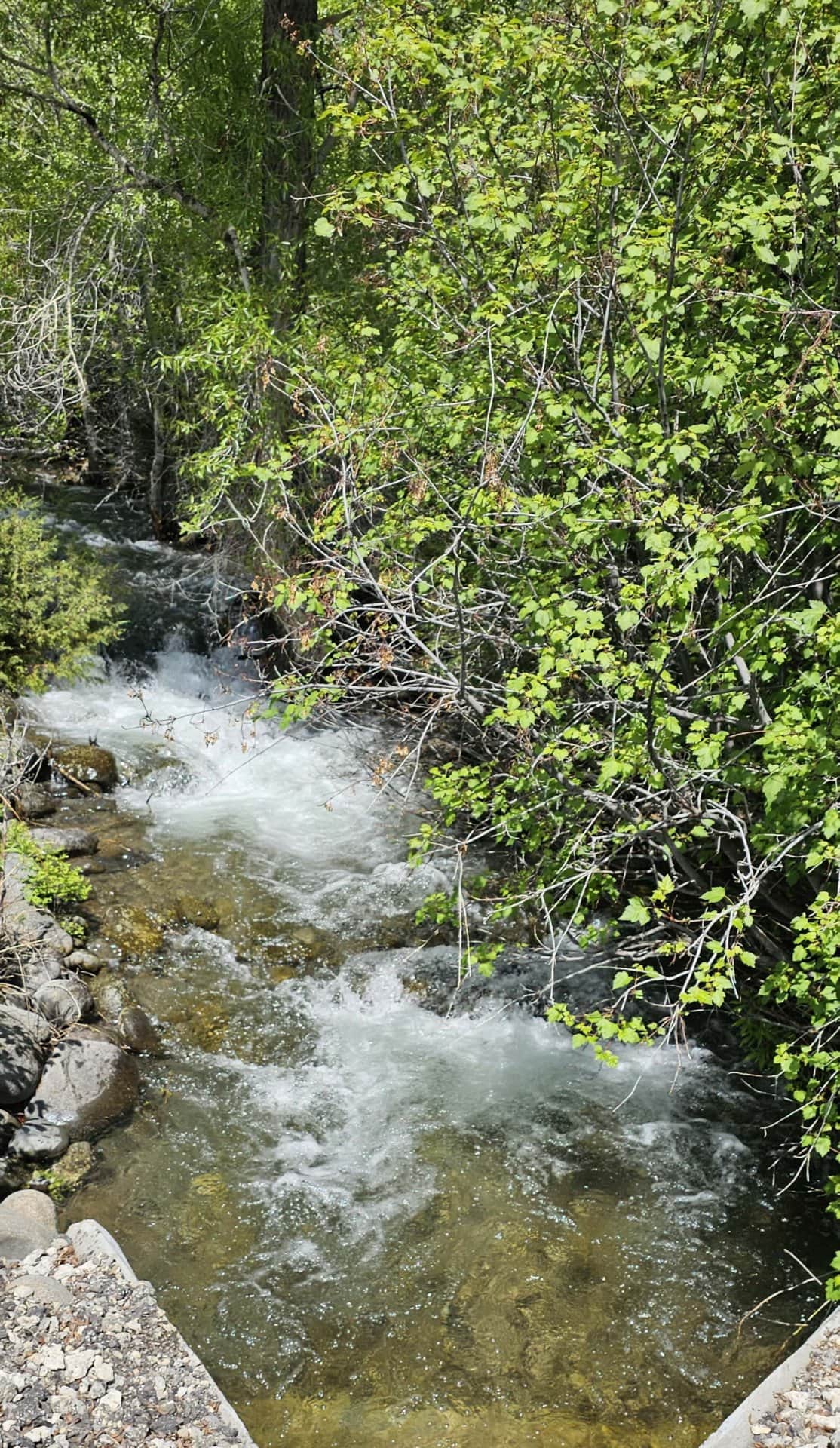 creek water driveway montana gallatin valley overlook