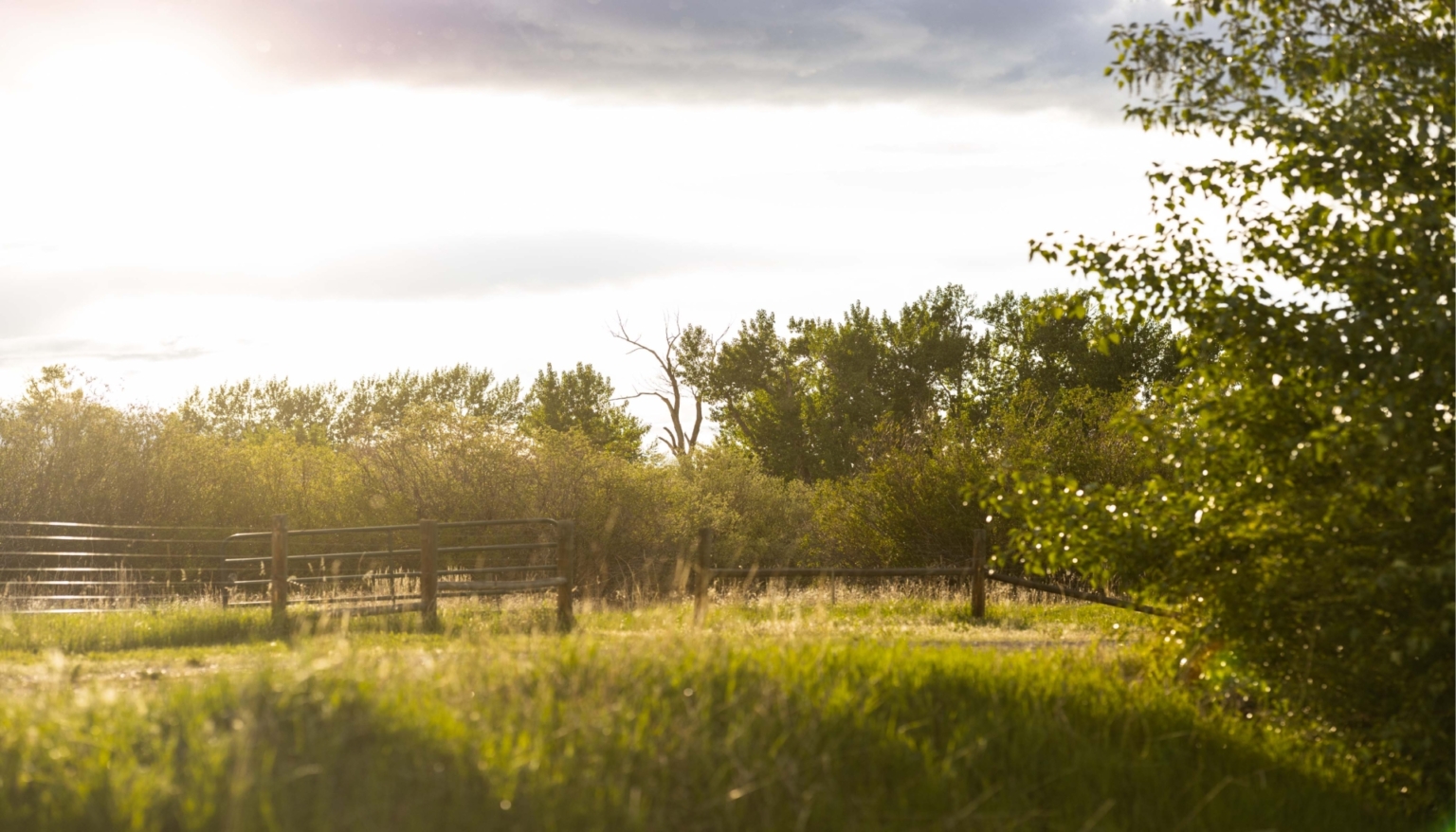 Pony Ponds Harrison Montana Fay Ranches